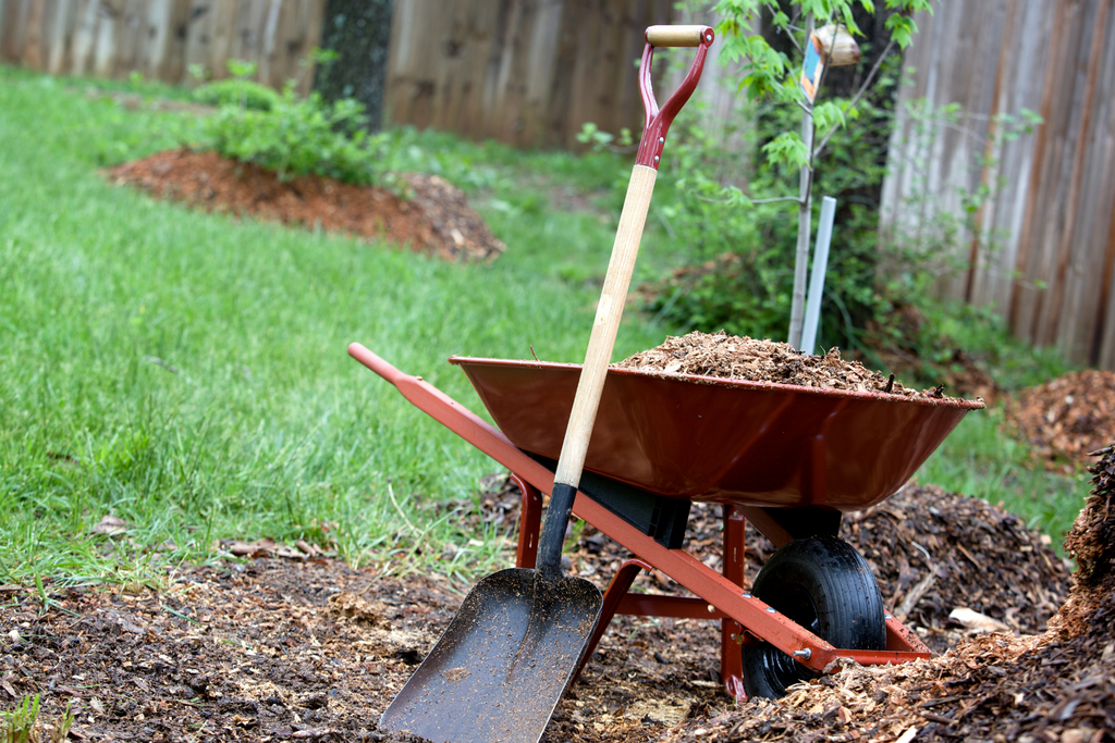 Wheelbarrow and Mulch